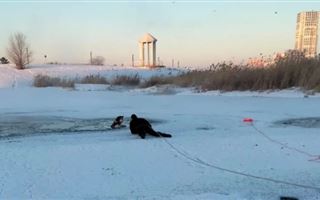Женщина с собакой провалились под лёд в Астане