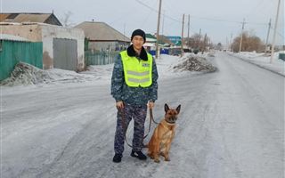 Служебная собака помогла по “горячим следам” раскрыть кражу денег в Акмолинской области