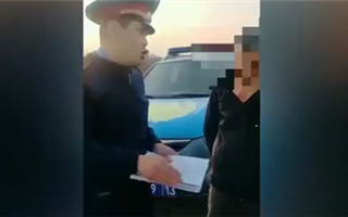 Водитель пытался дать взятку полицейскому в Туркестанской области