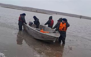 В Актюбинской области спасатели вытащили из поднявшейся реки стадо коров и табун лошадей