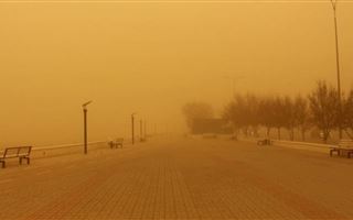 10 мая в некоторых регионах РК ожидаются пыльные бури