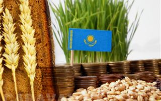 Провал зерновой сделки может обанкротить сельское хозяйство Казахстана