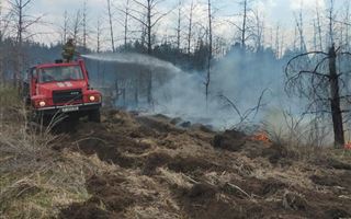 В Абайской области вторые сутки не могут потушить лесной пожар