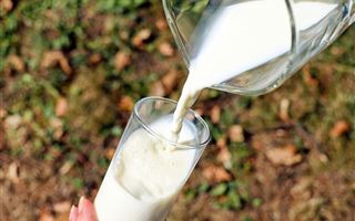 Молокозавод стал принимать молоко у фермеров по заниженной цене, но не снизил стоимость своей продукции