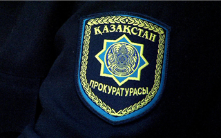 В Акмолинской области конфисковали имущество гражданки США, которую подозревают в хищении более 1 миллиарда из казахстанского бюджета