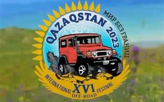Уникальный фестиваль в Казахстане: погрузит в этнику, прорекламирует страну, поможет «выдрессировать гаишников»