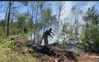 МЧС сообщило актуальную информацию о пожаре в Абайской области