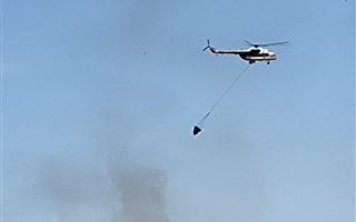 Возгорание камыша в Коргалжынском заповеднике тушили вертолетами