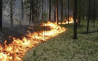 В некоторых областях сохраняется чрезвычайная пожарная опасность: прогноз погоды в Казахстане  