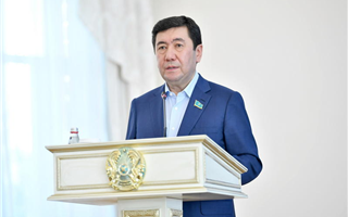 Казахстанских депутатов не устраивает качество ответов на их запросы