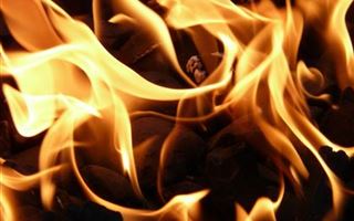 Пожар в Баянаульском заповеднике ликвидирован