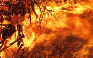 Пожар в Атырауской области охватил 830 гектаров
