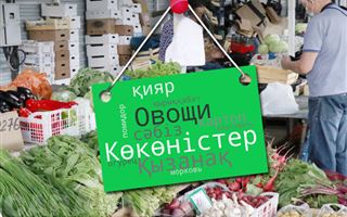 Как полезно в Казахстане знать казахский язык неказахам