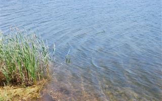 В ЗКО снова наполнилось обмелевшее озеро Сорколь 