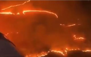В Турции бушует крупный лесной пожар 