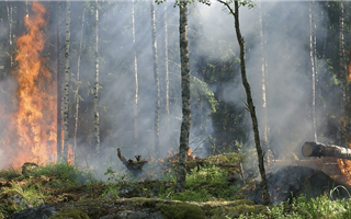 Пожар в труднодоступной горной местности тушат в ВКО