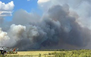 Причиной лесного пожара в Щербактинском районе стал грозовой разряд