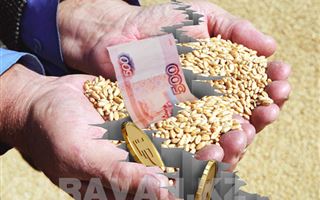 Падение рубля может разорить село Казахстана