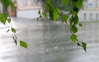 27 июля в некоторых регионах ожидаются дожди с грозами