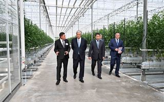 Глава государства посетил промышленный тепличный комплекс в Алматинской области