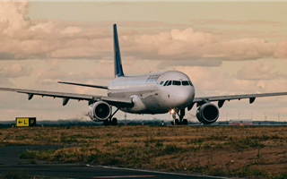 Air Astana может изменить расписание полетов из-за инцидента с птицами