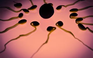 Китайский банк спермы организовал конкурс на самые активные сперматозоиды