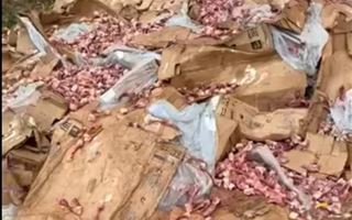 Свалку куриных отходов на лесопосадке сняли на видео жители Карагандинской области 