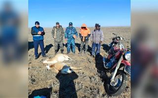В степях Шалкарского района задержали браконьеров 