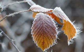 В Казахстане ожидаются 15-градусные морозы