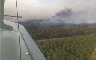 Крупный лесной пожар в Костанайской области: суд изменил приговор замглаве лесного хозяйства