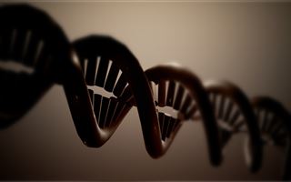 Репликацию ДНК изучили детально