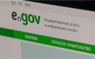 Казахстанцам стал доступен новый цифровой документ в приложении eGov