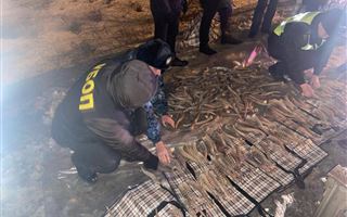 Иностранца с рогами сайги на 2 млрд тенге арестовали в Костанайской области