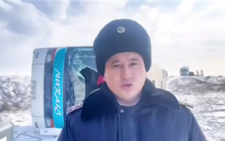 В Абайской области автобус с 17 пассажирами улетел в кювет
