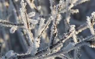 15 января на большей части РК ожидаются морозы