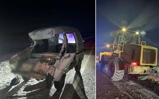 В Жетысуской области водитель погиб в ДТП с погрузчиком