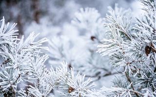 29 января в Казахстане местами ожидается снег