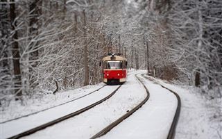Трамвайное движение остановилось в Усть-Каменогорске 