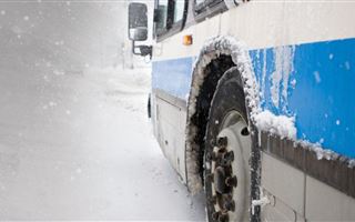 В Алтае замерзли автобусы