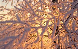 20 февраля на большей части Казахстана ожидается морозная погода без осадков
