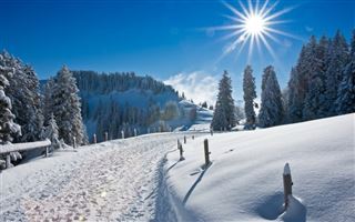 23 февраля на большей части Казахстана ожидается морозная погода без осадков
