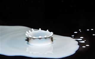 Ученые создали молочные напитки для укрепления психического здоровья