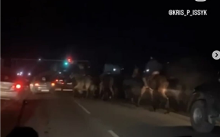 В Алматинской области всадники устроили кокпар прямо на дороге