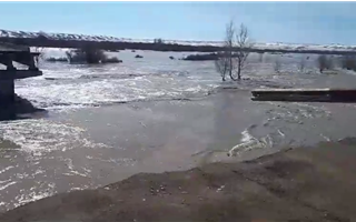 Паводок разрушил мост в области Абай