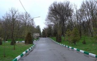 8 тысяч деревьев погибло в дендропарке Шымкента