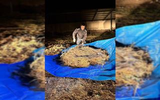 В Жамбылской области пастух заготовил на зиму более 40 кг наркотиков