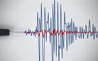 Землетрясение в 273 км от Алматы зарегистрировали казахстанские сейсмологи