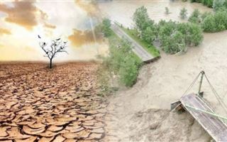 Аграрный эксперт: ожидать ли засуху после паводков