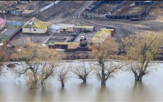 Уровень воды в реке Жайык продолжает расти