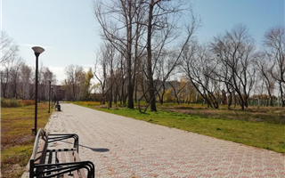 Городской парк спасли от строительства ЖК в Павлодаре 